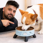 Tigelas Elevadas em Aço Inoxidável para Animais de Estimação com Design Anti-Queda e Antiderrapante, Apresentando Padrões Fofos, Adequadas para Gatos e Cães Pequenos Comer e Beber.