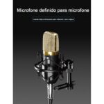 Microfone Profissional QA-T595 - Image 2