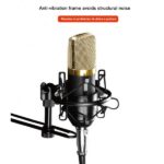 Microfone Profissional QA-T595 - Image 6