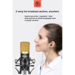 Microfone Profissional QA-T595 - Image 8